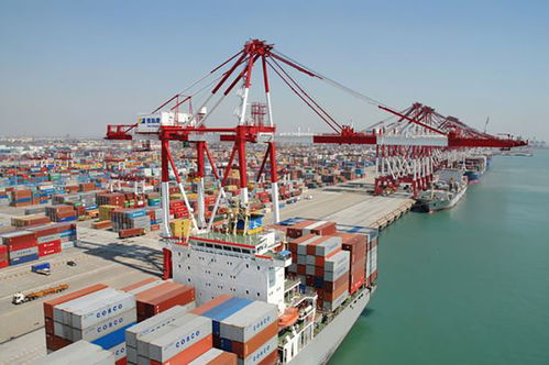 出口退運那些事 貨物進(jìn)出口中的常見問題與應(yīng)對策略