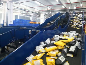 東莞制造乘跨境電商?hào)|風(fēng)，貨物進(jìn)出口實(shí)現(xiàn)跨越式增長(zhǎng)